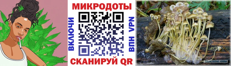 Галлюциногенные грибы Cubensis  Сочи 