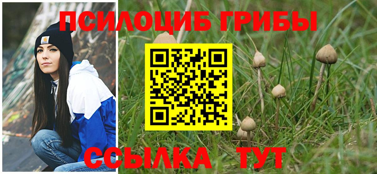 Псилоцибиновые грибы мицелий Сочи